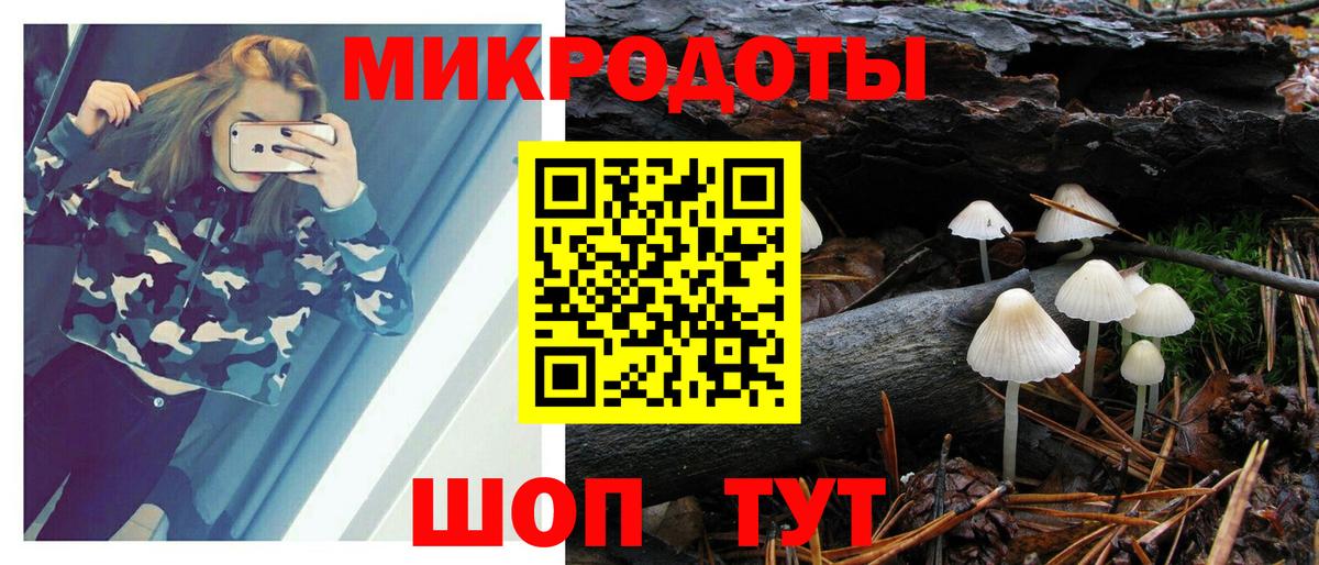 Псилоцибиновые грибы GOLDEN TEACHER Петропавловск-Камчатский