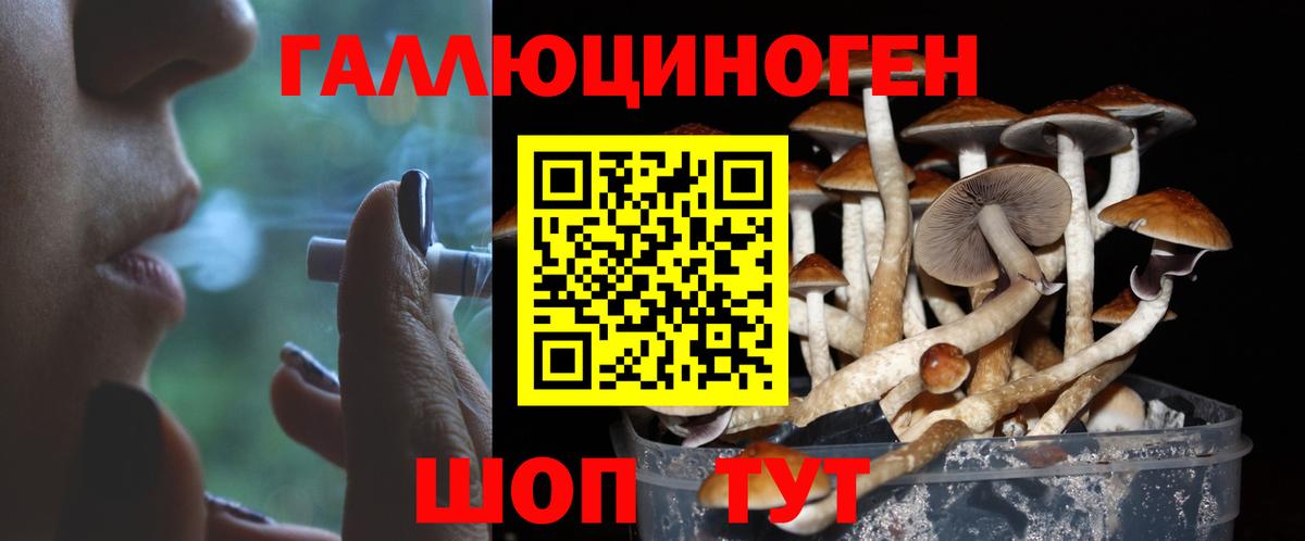 Петропавловск-Камчатский  Галлюциногенные грибы ЛСД  Вход с VPN 